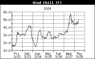 Wind Chill History