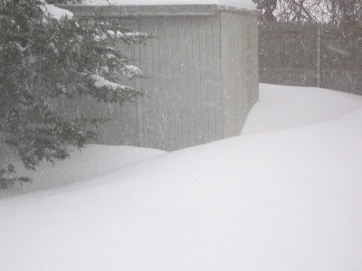 Blizzard, December 20 2009