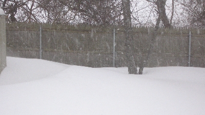 Blizzard, December 20 2009
